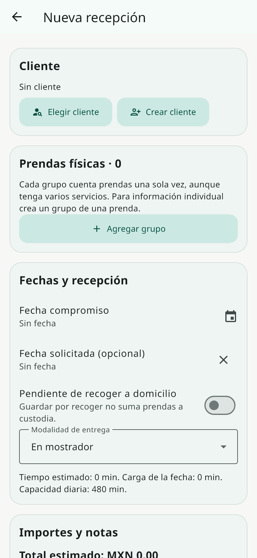 Interfaz de recepción de prendas y servicios con datos de ejemplo.
